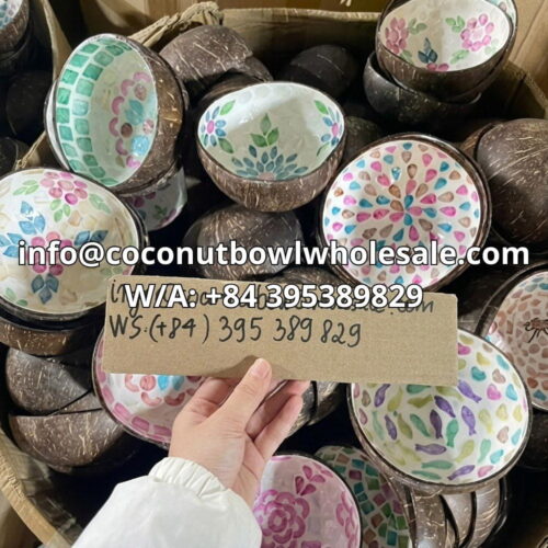 mother of pearl coconut bowl wholesale
