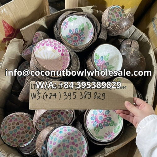 mother of pearl coconut bowl wholesale