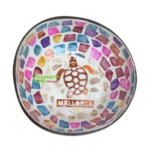 colorful mother of pearl turtle coconut bowl, wholesale, bulk